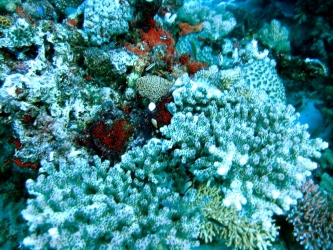 IMG_0143_1