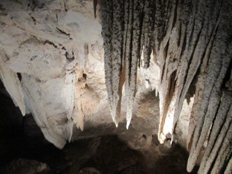 File-0991