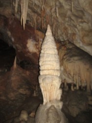 File-0993