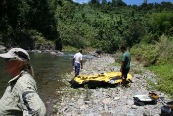File-0354