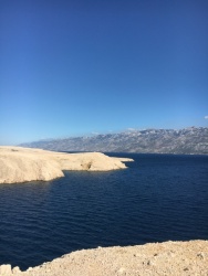IMG_4484