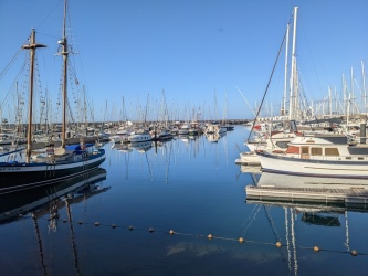PXL_20220218_085405723