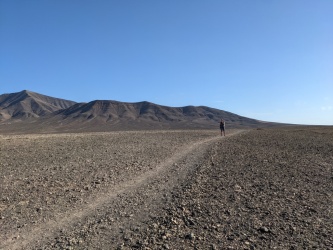 PXL_20220218_094831821