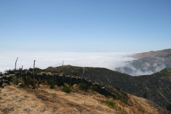 IMG_2767
