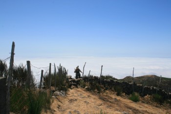 IMG_2775