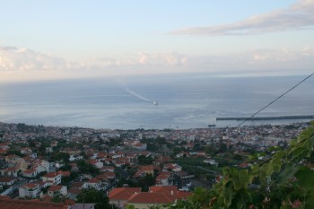 IMG_3059