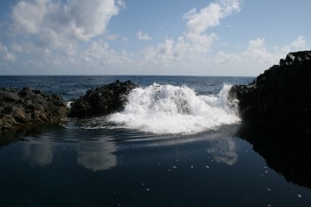 IMG_3119