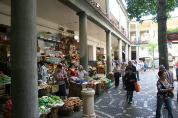 IMG_3200