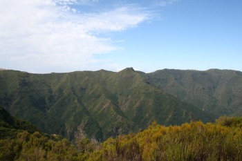 IMG_3377