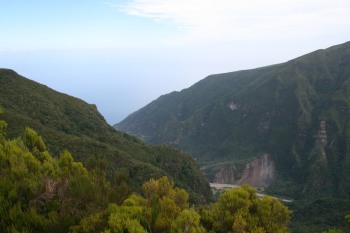 IMG_3396