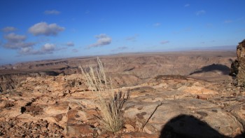 IMG_0989