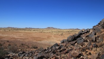 IMG_1142