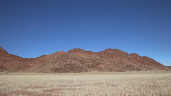 IMG_1804