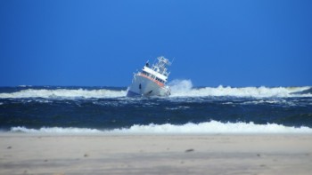 IMG_2485