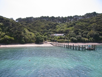 Bild-100