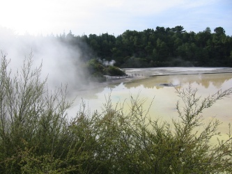 Bild-30600
