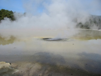 Bild-308