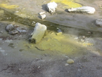 Bild-329
