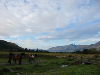 Bild-332