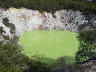 Bild-342