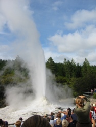 Bild-352