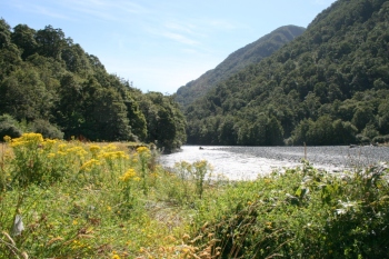 Bild-1031