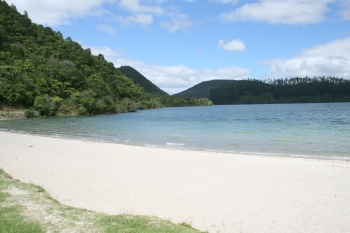 Bild-1428