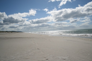 Bild-1631