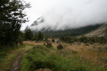 Bild-222