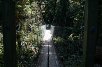 Bild-301