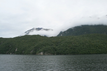 Bild-390