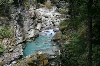 Bild-661