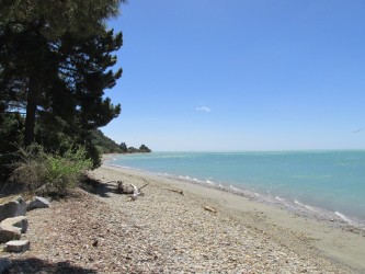 File-0509