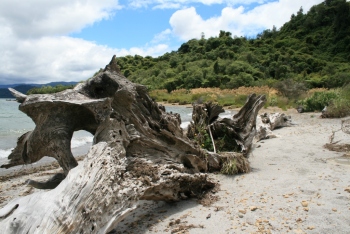 File-0951