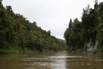 File-1008