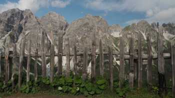 IMG-20210821-WA0017