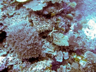 File-0010