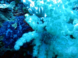 File-0015