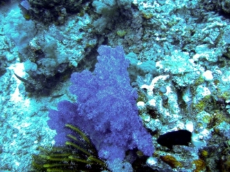 File-0029