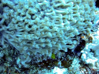 File-0047