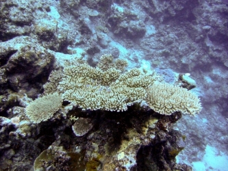 File-0048