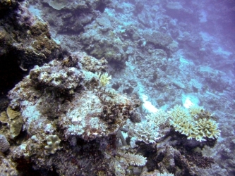 File-0050