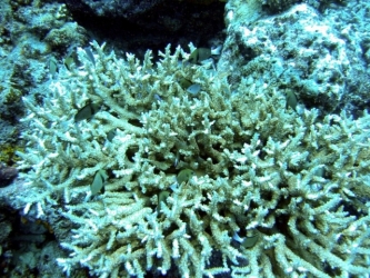 File-0057