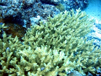 File-0060