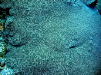File-0061