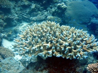 File-0065