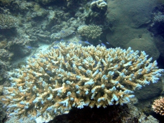 File-0066