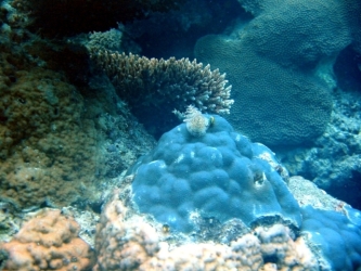 File-0067