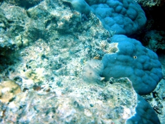 File-0068