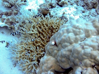 File-0075